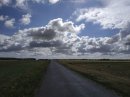 Sortie de la forêt